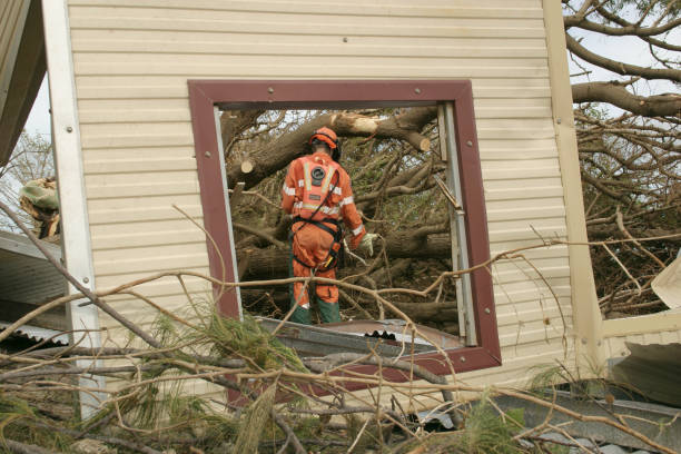 Best Tree Removal  in Pittsburg, CA